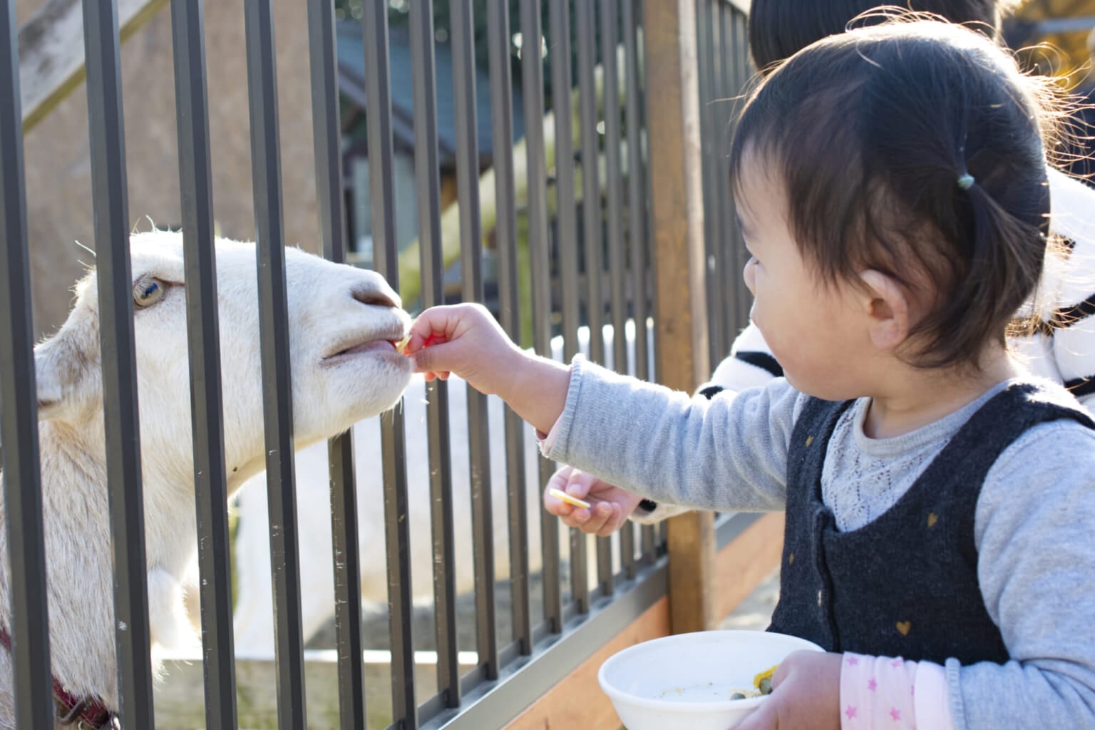 Cách dạy con của người Nhật dạy con về lòng biết ơn