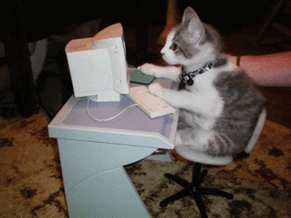 Code For Everyone JavaScript